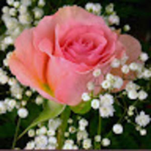 Meet your Posher, Deanna